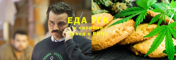 гашик Карпинск