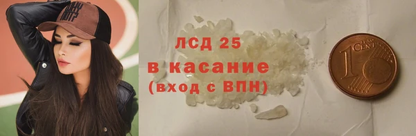 гашик Карпинск