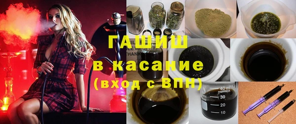 гашик Карпинск