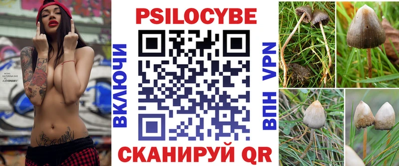 Купить закладки  Северодвинск  Псилоцибиновые грибы ЛСД 
